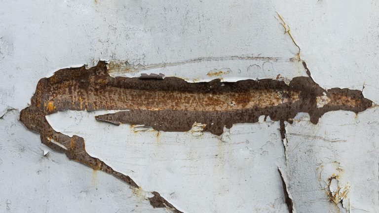 wall damaged sue to termites